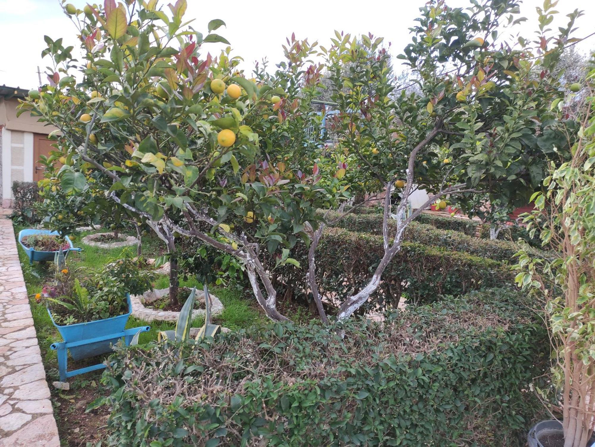 Mitsi 度假居 Sarande