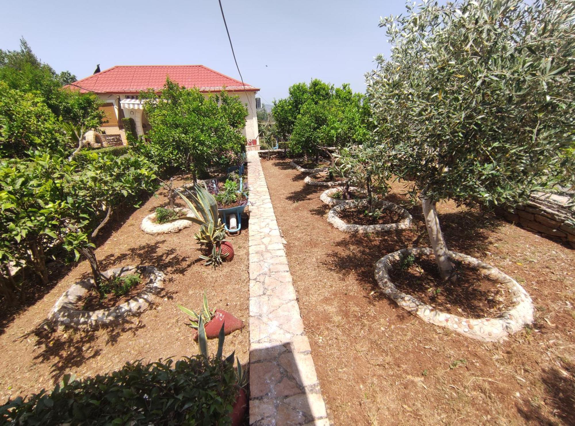 Holiday home Mitsi